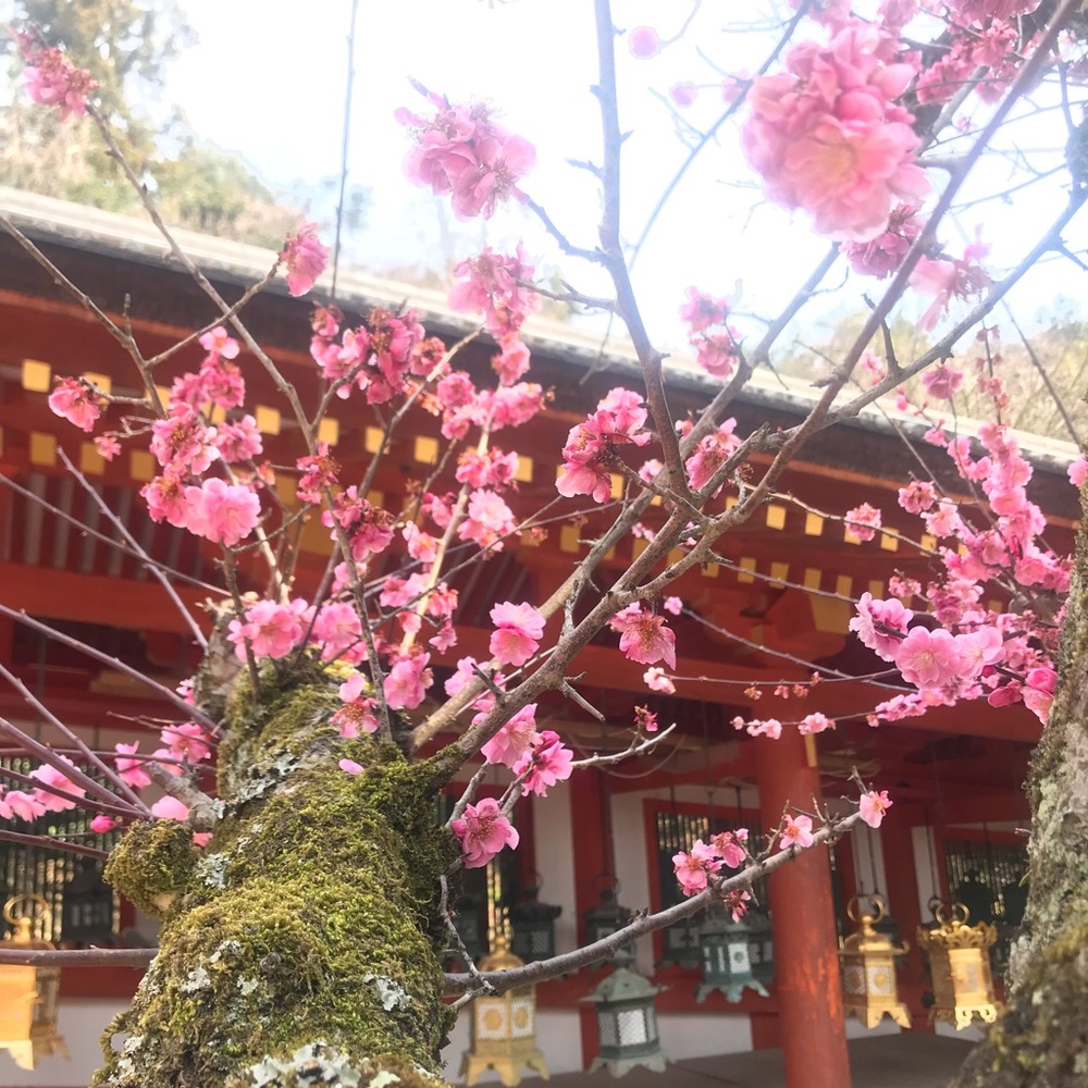 Meet your Posher, Polly